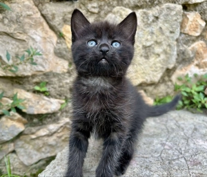 497536469_695647209488274_1108853486447833862_n